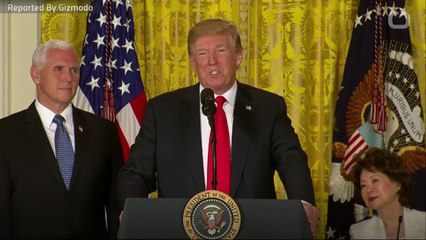 Separation of Immigrant Families Seen As Child Abuse