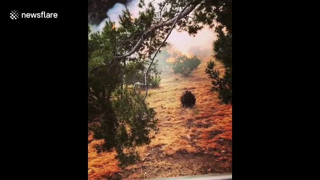 Fire breaks out near Hollywood sightseeing attraction