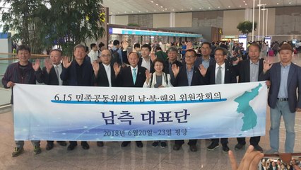 6·15 남측위 15명 평양 회의 참석차 방북 / YTN
