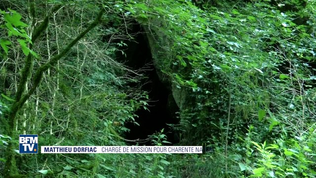 Biodiversité: un espèce sur trois est menacée de disparition en France