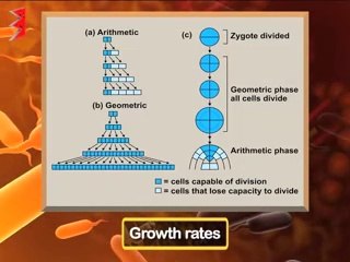 Plants Growth and Development | Class 11 Biology