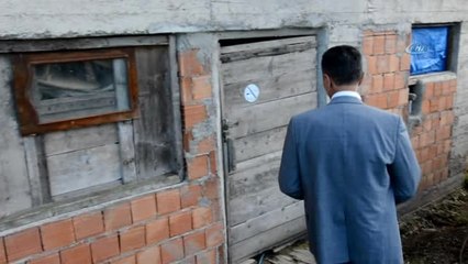 İstiridye Mantarı Yüz Güldürüyor