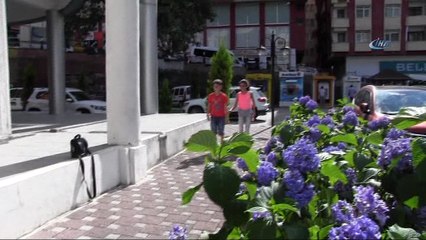 Artvinli minik kardeşlerden büyük davranış