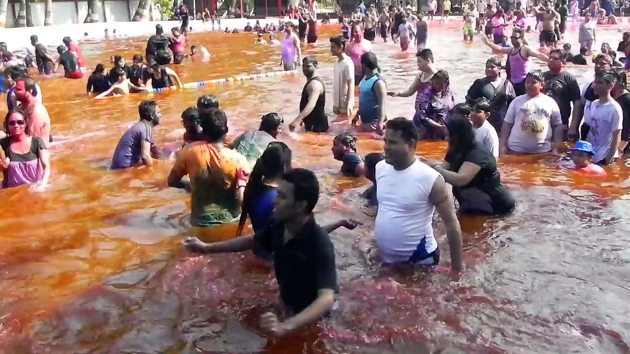 Holi video Aquatica Jd Entertainment