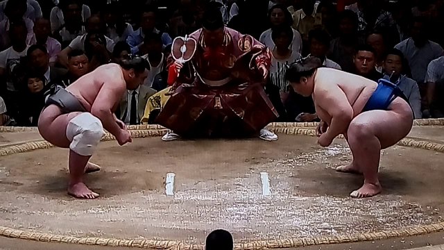 栃ノ心 vs 逸ノ城 2018年大相撲夏場所8日目 20180520