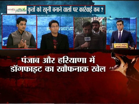 पंजाब और हरियाणा में डॉगफाइट का खौफनाक खेल :MAHABAHAS