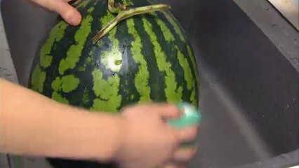 세균 걱정 없는 안전한 수박 보관법 / YTN