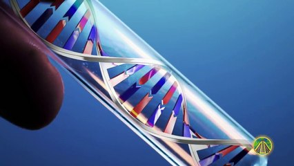 Blut Von Jesus Gefunden - DNA-Ergebnis Ist Unfassbar!