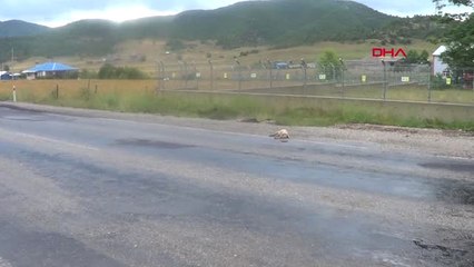 Kahramanmaraş Yolda Telef Olan Köpeği İtfaiye Eri Kaldırdı Hd