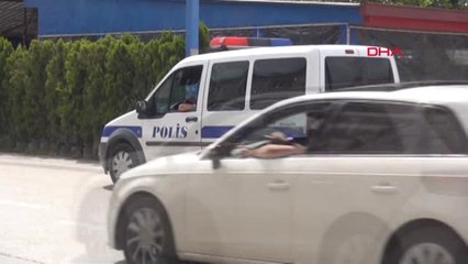 Bursa'da 4 Ayağı Kesilmiş Yavru Kedi Cesedi Bulundu