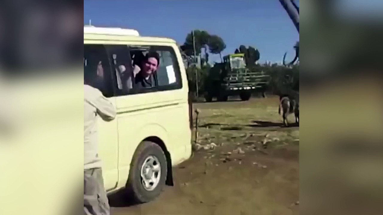 L'idée à la con du mercredi : passer sa tête à l'extérieur du véhicule