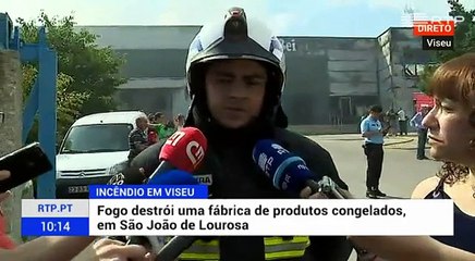 Fogo consome fábrica de congelados no distrito de Viseu