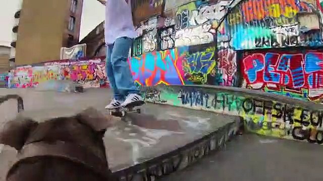 Un chien utilisé pour filmer des skateurs avec une GoPro embarquée... Bon cadreur le toutou