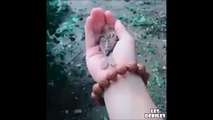 Cet oiseau ne veut plus quitter la main de cet homme... Adorable