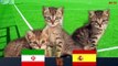 IRAN Vs SPAIN - 2018 Prediction FIFA World Cup