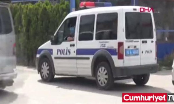 Bursa'da ayakları kesilmiş kedi bulundu