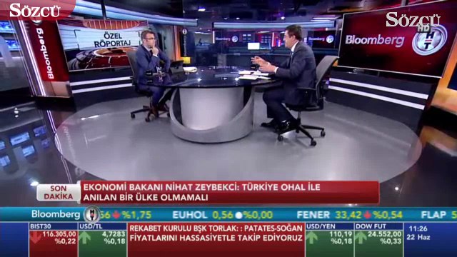 Zeybekci Patates-soğan spekülatif