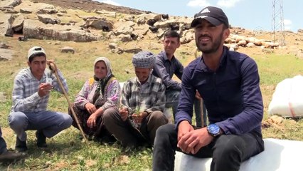 Pervari'nin dağlarında silah sesinin yerini türküler aldı - SİİRT