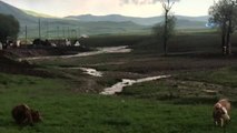 Köy İçinden Geçen Dere Taştı, Ekili Araziler Sular Altında Kaldı