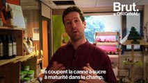 Le combat du pionnier du commerce équitable Andines