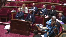 Intervention du Sénateur Karoutchi lors de l'examen du projet de loi Asile et Immigration (19/06)