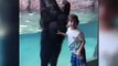 ایان، کودک پنج ساله، با خرس باغ وحش شهر نشویل امریکا اوقات خوشی داشت. پدر ایان گفت که به محض اینکه فرزندش جست و خیز کرد، خرس نیز برای ده دقیقۀ تمام با این کودک