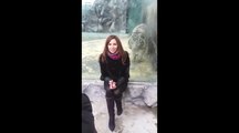 Un tigre fourbe fait peur à une touriste dans un zoo