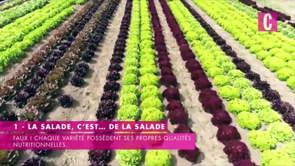 La salade, et ses idées reçues diététiques
