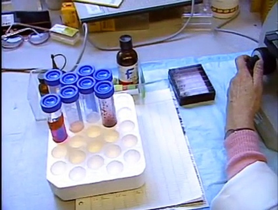 Phenomenon The Lost Archives S01 E08 An Unknown Encounter