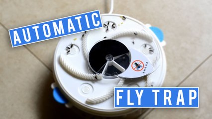 Genius Electric Fly Trap