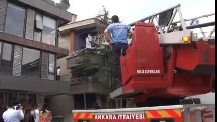 Ekiplerin Mühürlü Evde Kedi Kurtarma Operasyonu