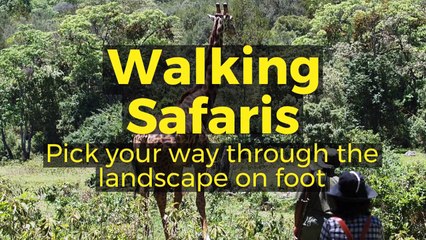 What to do During Tanzania Holidays