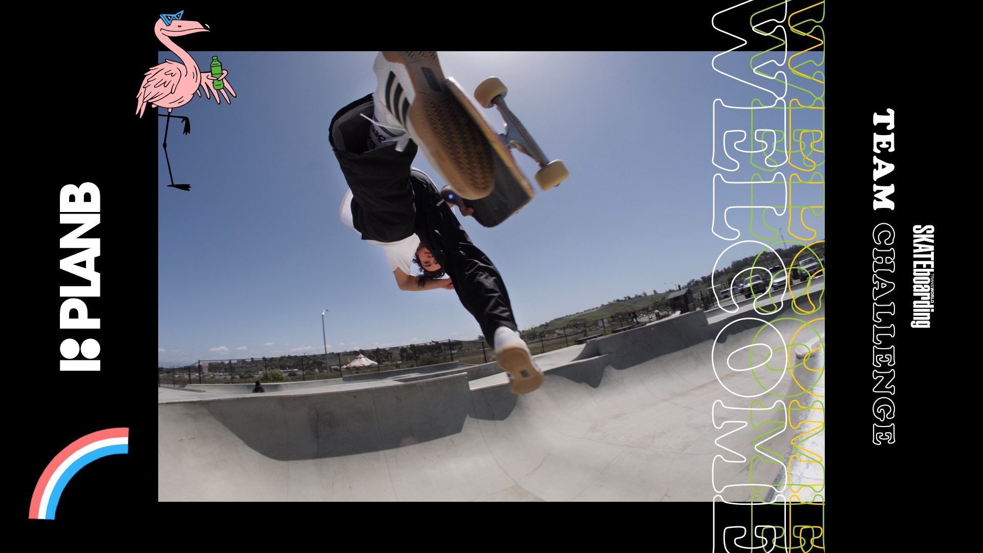 Introducing Plan B to the 2018 TransWorld SKATEboarding Team Challenge -  video Dailymotion