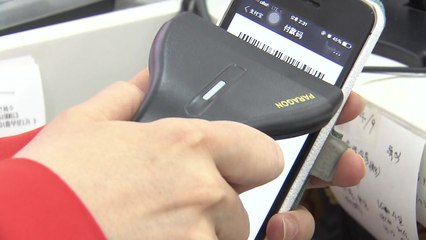 "서울페이 연내 도입"...실효성 있을까? / YTN