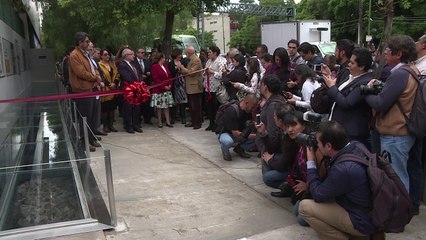 God of Wind's temple under Mexican concrete jungle