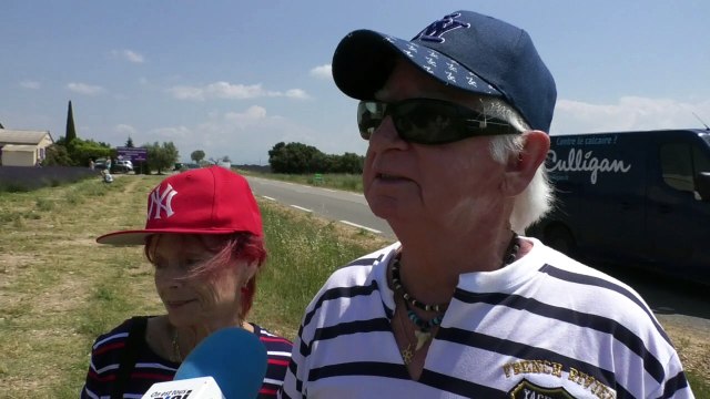 Alpes-de-Haute-Provence : la lavande est de retour sur le plateau de Valensole