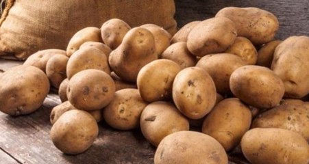 Patates Fiyatlarının Yeni Ürün Hasadının Başlamasıyla 2 Haftaya Kadar Düşmesi Bekleniyor