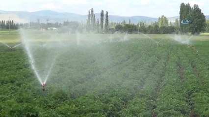 Pazarlarda Patatesin Fiyatı 5 Lirayı Aşınca, Gözler Sandıklı Patatesine Çevrildi