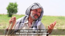 Farmers furious after Iraq suspends farming of key crops