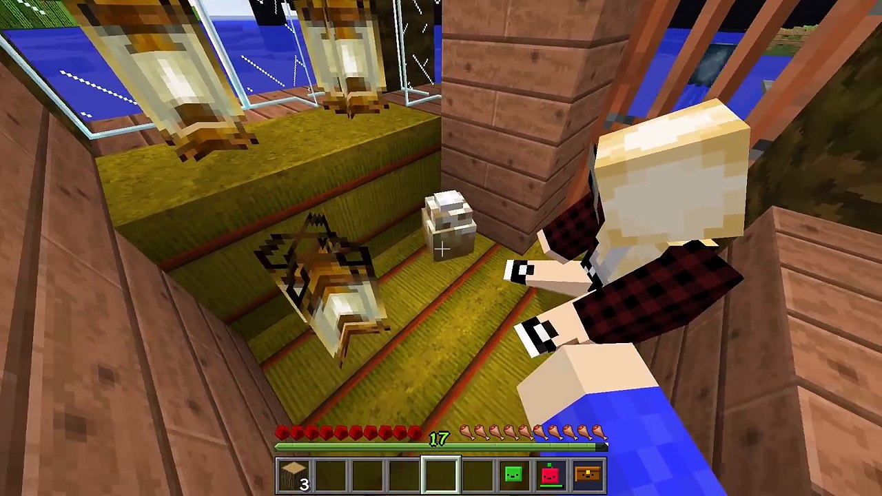 UNSER EI SCHLÜPFT AUF DER EINSAMEN INSEL!