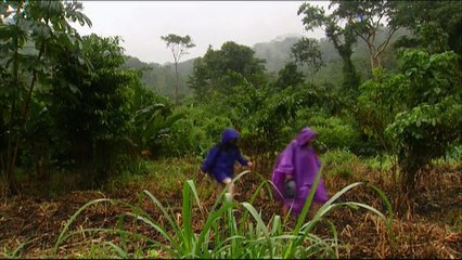 Nova Origins - Part 2 How Life Began