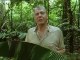 BBC David Attenborough's Trials Of Life 06 of 12 Home 1990