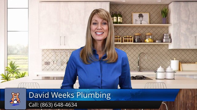 David Weeks Plumbing Lakeland Exceptional Five Star Review by Lena Chambers