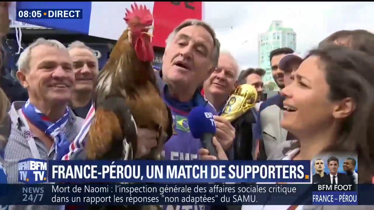 Mondial: le coq Balthazar prêt à en découdre avec les 20.000 supporters péruviens