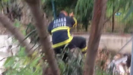 Nehre Düşen Yavru Köpek Kurtarıldı