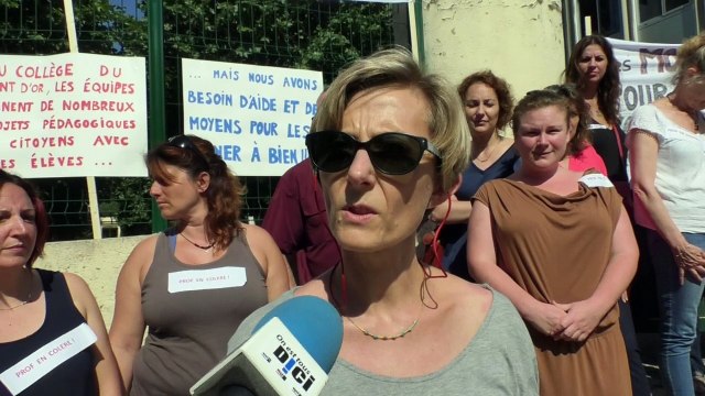 Alpes-de-Haute-Provence : les enseignants du collège du Mont d'Or de Manosque réclament des moyens