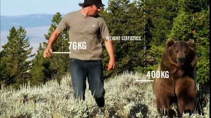 ดู America The Wild ซีซั่น 1 ตอน 2  ซับไทย