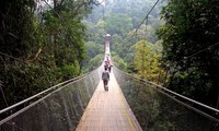 Jembatan Gantung Melintasi Hutan Gunung Gede Pangrango