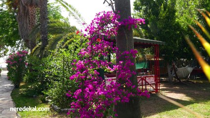 Erine Beach Bungalow & Butik Otel