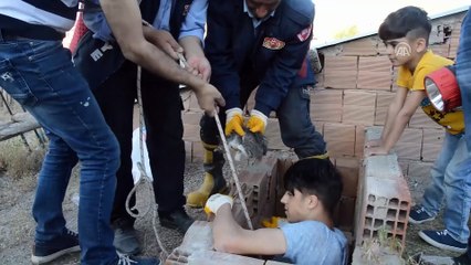 Bacadan kedi kurtarma operasyonu - AĞRI